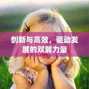 创新与高效，驱动发展的双翼力量