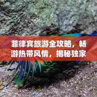 菲律宾旅游全攻略，畅游热带风情，揭秘独家旅行秘籍！