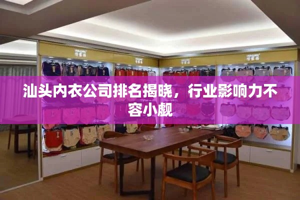 汕头内衣公司排名揭晓，行业影响力不容小觑