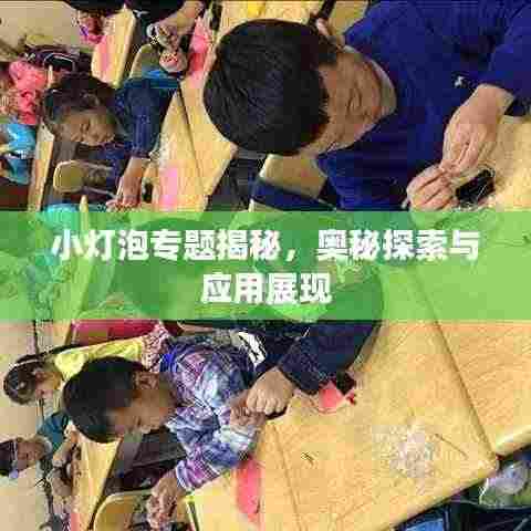 小灯泡专题揭秘，奥秘探索与应用展现