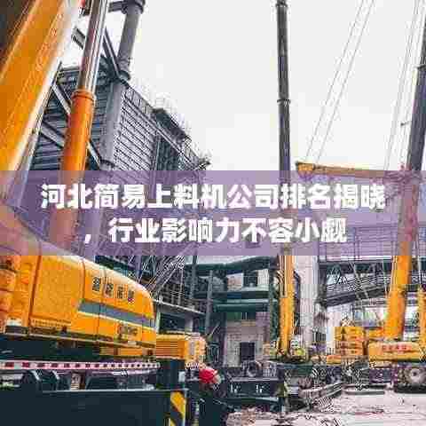 河北简易上料机公司排名揭晓，行业影响力不容小觑