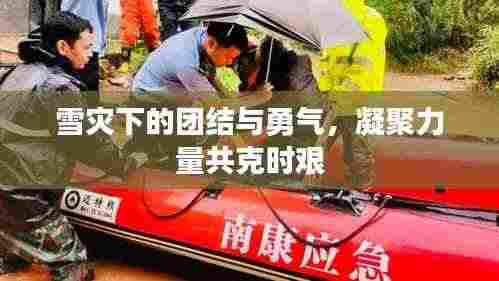 雪灾下的团结与勇气，凝聚力量共克时艰