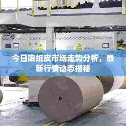 今日废纸皮市场走势分析，最新行情动态揭秘