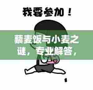 藜麦饭与小麦之谜，专业解答，百度知识一网打尽