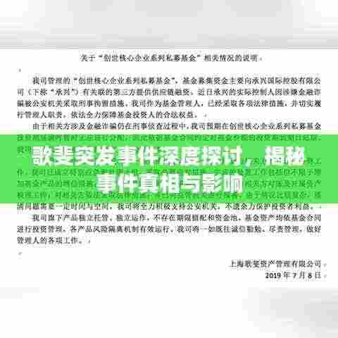 歌斐突发事件深度探讨，揭秘事件真相与影响