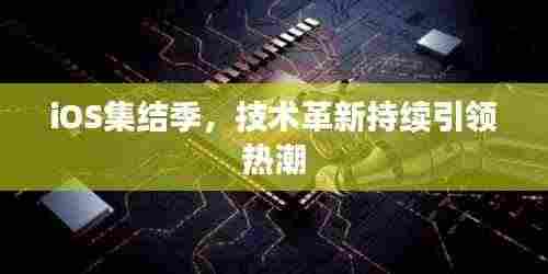 贵而贱目 第3页