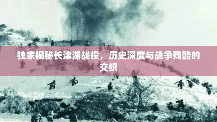 物是人非 第2页