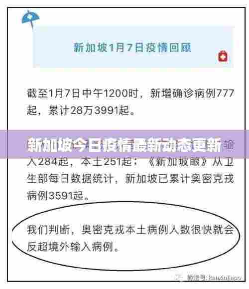 新加坡今日疫情最新动态更新