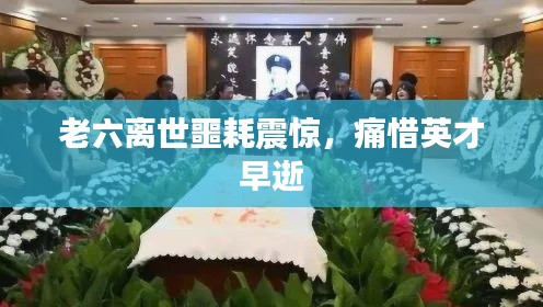 老六离世噩耗震惊，痛惜英才早逝
