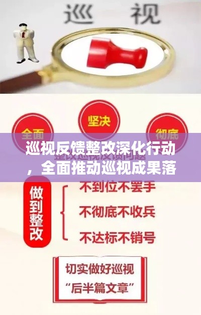 巡视反馈整改深化行动，全面推动巡视成果落实，确保整改见实效