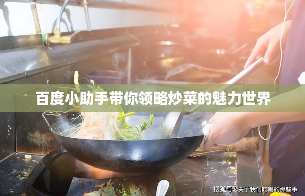 百度小助手带你领略炒菜的魅力世界