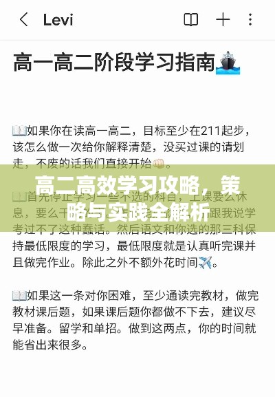 高二高效学习攻略，策略与实践全解析