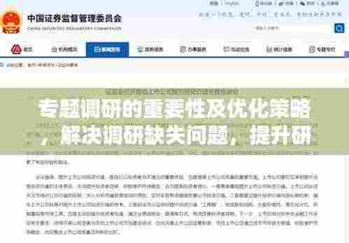 专题调研的重要性及优化策略，解决调研缺失问题，提升研究质量！