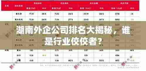 湖南外企公司排名大揭秘，谁是行业佼佼者？