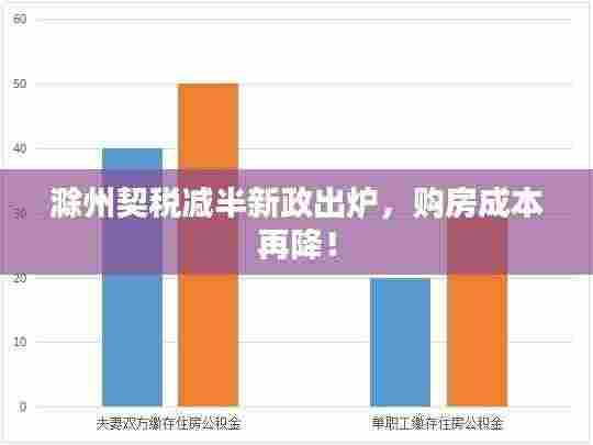 金石为开 第3页