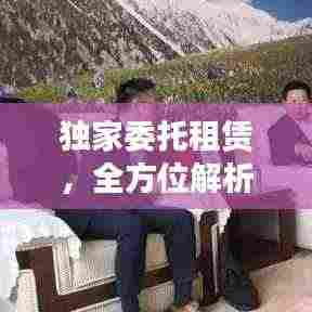 独家委托租赁,全方位解析与指南