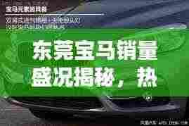 东莞宝马销量盛况揭秘，热门车型排名与解析