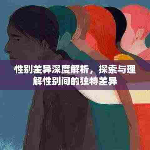 性别差异深度解析，探索与理解性别间的独特差异