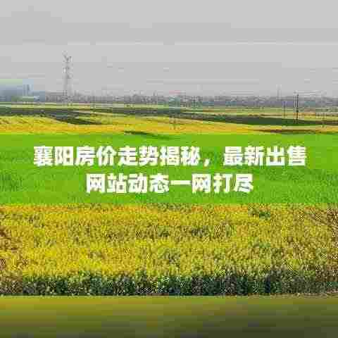 襄阳房价走势揭秘，最新出售网站动态一网打尽