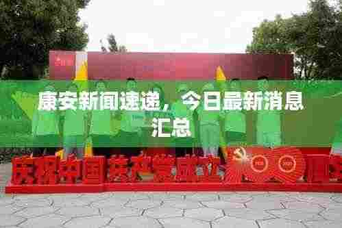 康安新闻速递，今日最新消息汇总