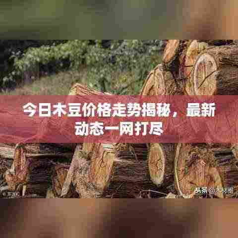 今日木豆价格走势揭秘，最新动态一网打尽