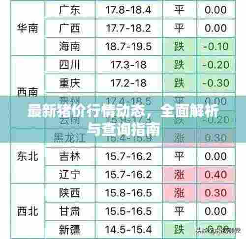 最新猪价行情动态，全面解析与查询指南