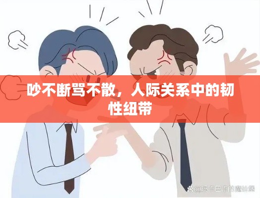 吵不断骂不散，人际关系中的韧性纽带