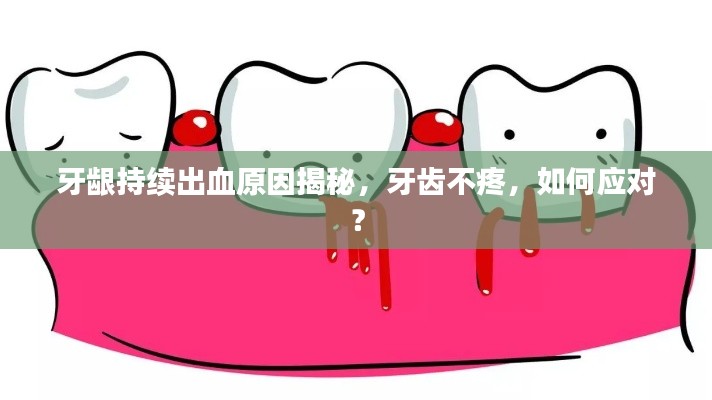 牙龈持续出血原因揭秘，牙齿不疼，如何应对？