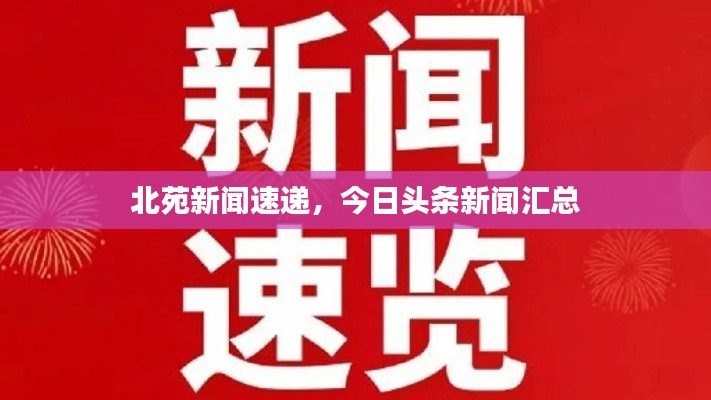 北苑新闻速递，今日头条新闻汇总
