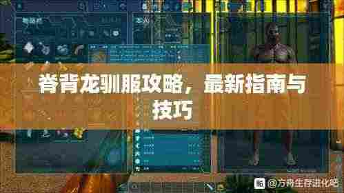 脊背龙驯服攻略，最新指南与技巧