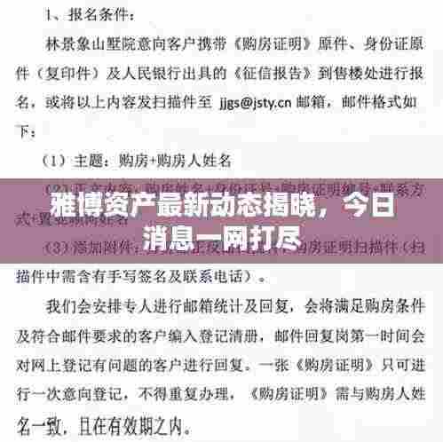 雅博资产最新动态揭晓，今日消息一网打尽
