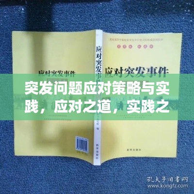 突发问题应对策略与实践，应对之道，实践之法