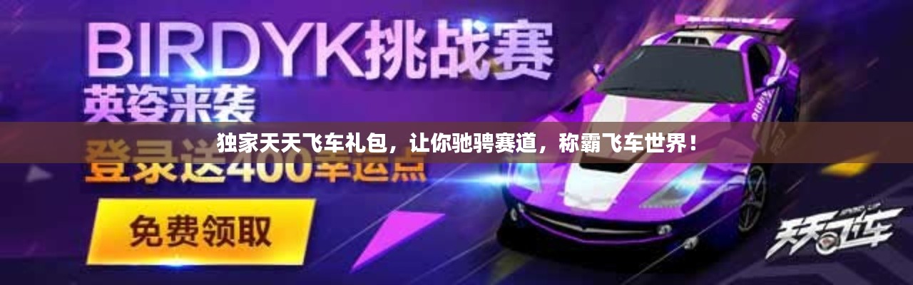 独家天天飞车礼包，让你驰骋赛道，称霸飞车世界！