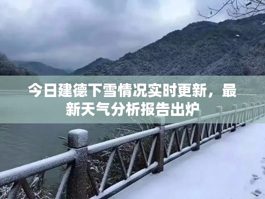 鸟集鳞萃 第3页