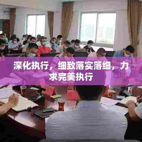 深化执行，细致落实落细，力求完美执行