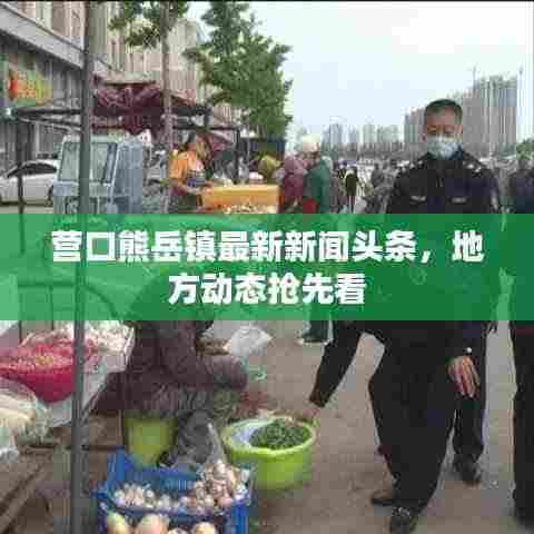 营口熊岳镇最新新闻头条，地方动态抢先看