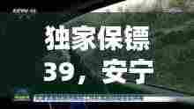 独家保镖39，安宁守护者的坚实屏障
