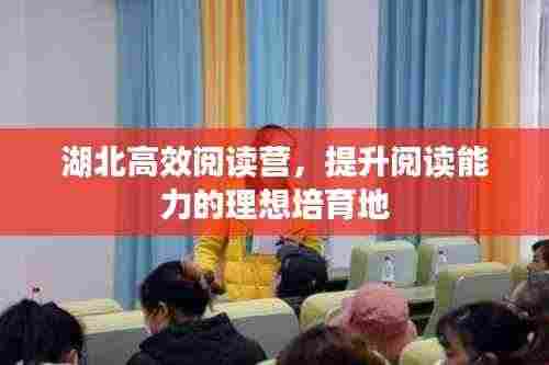湖北高效阅读营，提升阅读能力的理想培育地