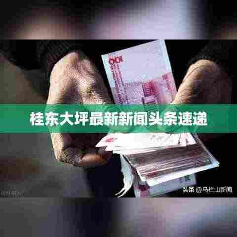 桂东大坪最新新闻头条速递