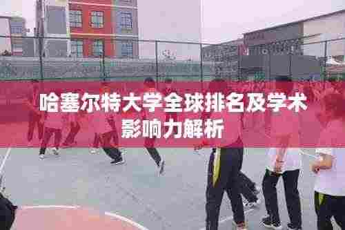 哈塞尔特大学全球排名及学术影响力解析