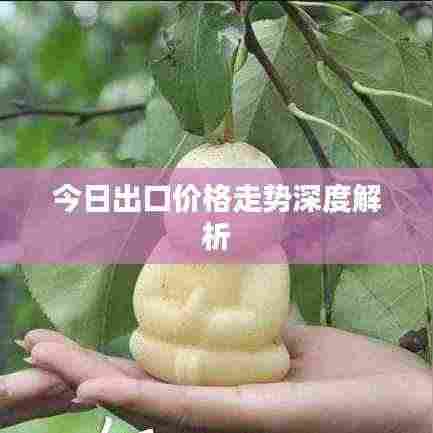 今日出口价格走势深度解析