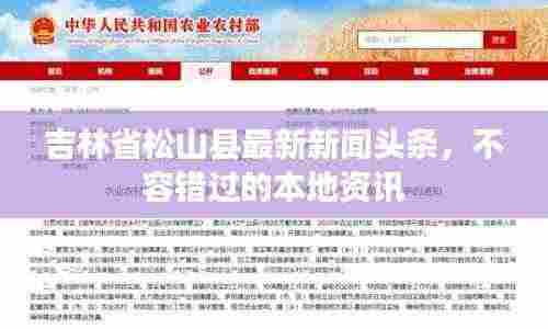 吉林省松山县最新新闻头条，不容错过的本地资讯