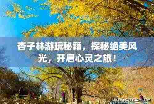 杏子林游玩秘籍，探秘绝美风光，开启心灵之旅！