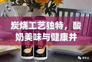 炭烧工艺独特，酸奶美味与健康并重，必试佳品！