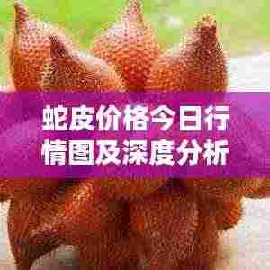 蛇皮价格今日行情图及深度分析