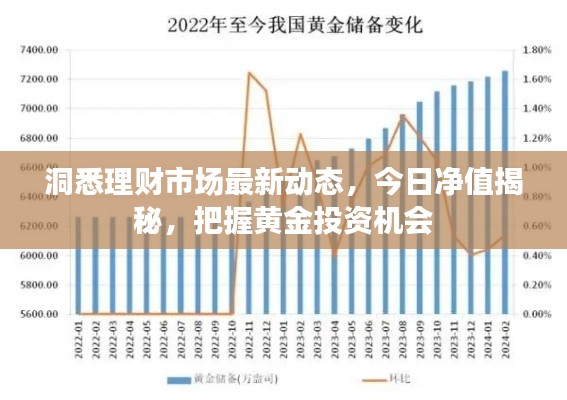 洞悉理财市场最新动态，今日净值揭秘，把握黄金投资机会