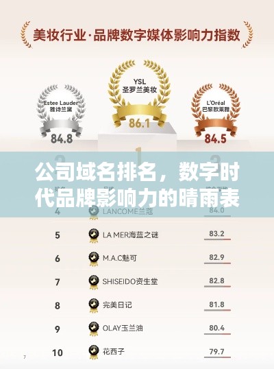 公司域名排名，数字时代品牌影响力的晴雨表