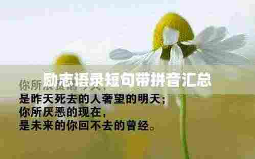 励志语录短句带拼音汇总