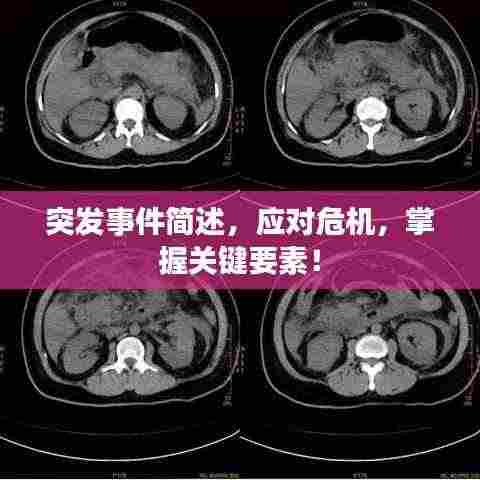 突发事件简述，应对危机，掌握关键要素！