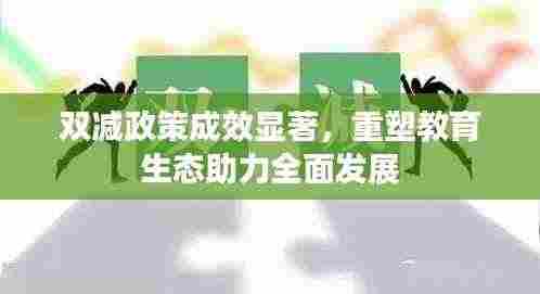 双减政策成效显著，重塑教育生态助力全面发展